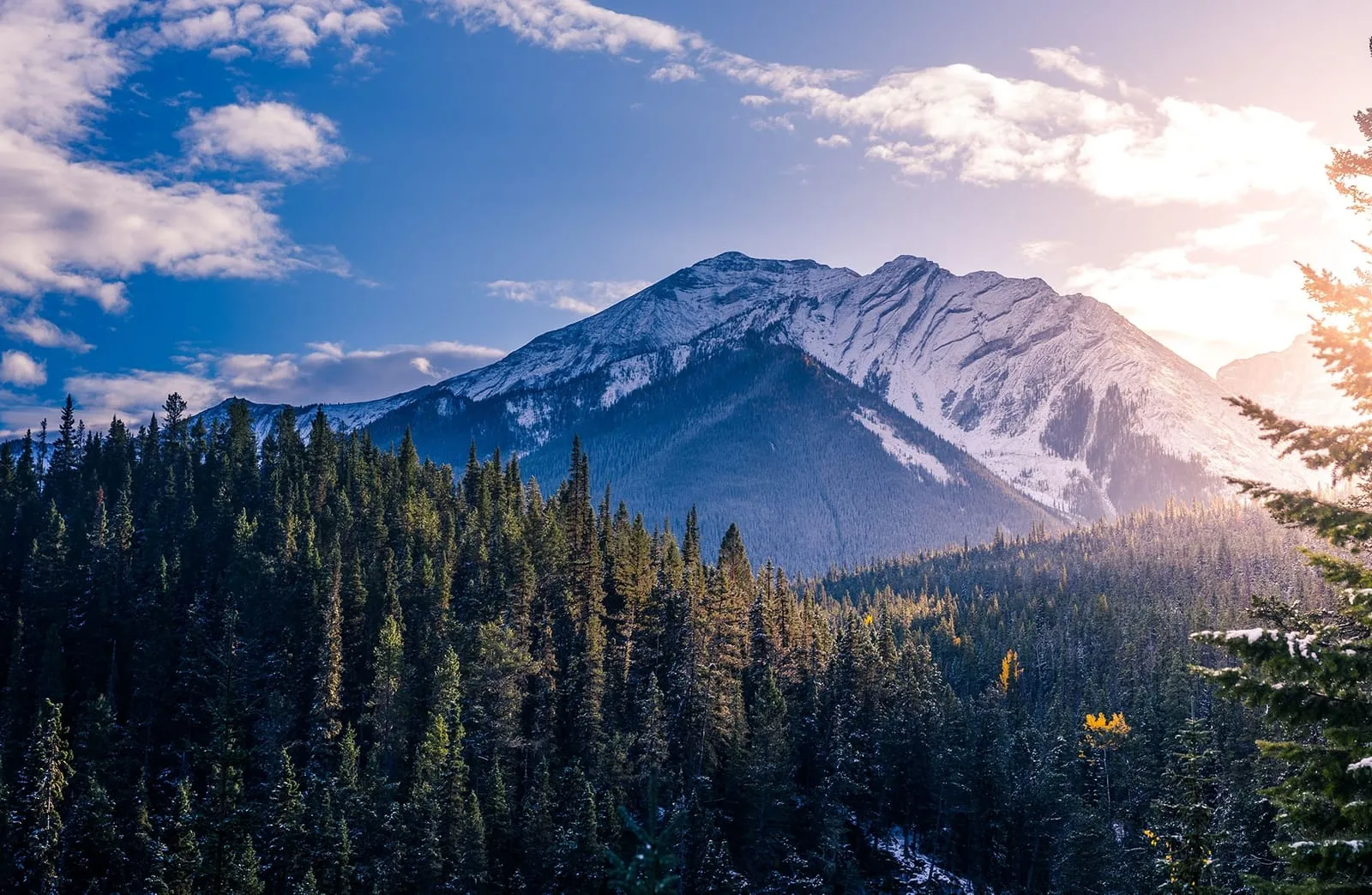 Sunlight over a snow-dusted mountain and evergreen forest